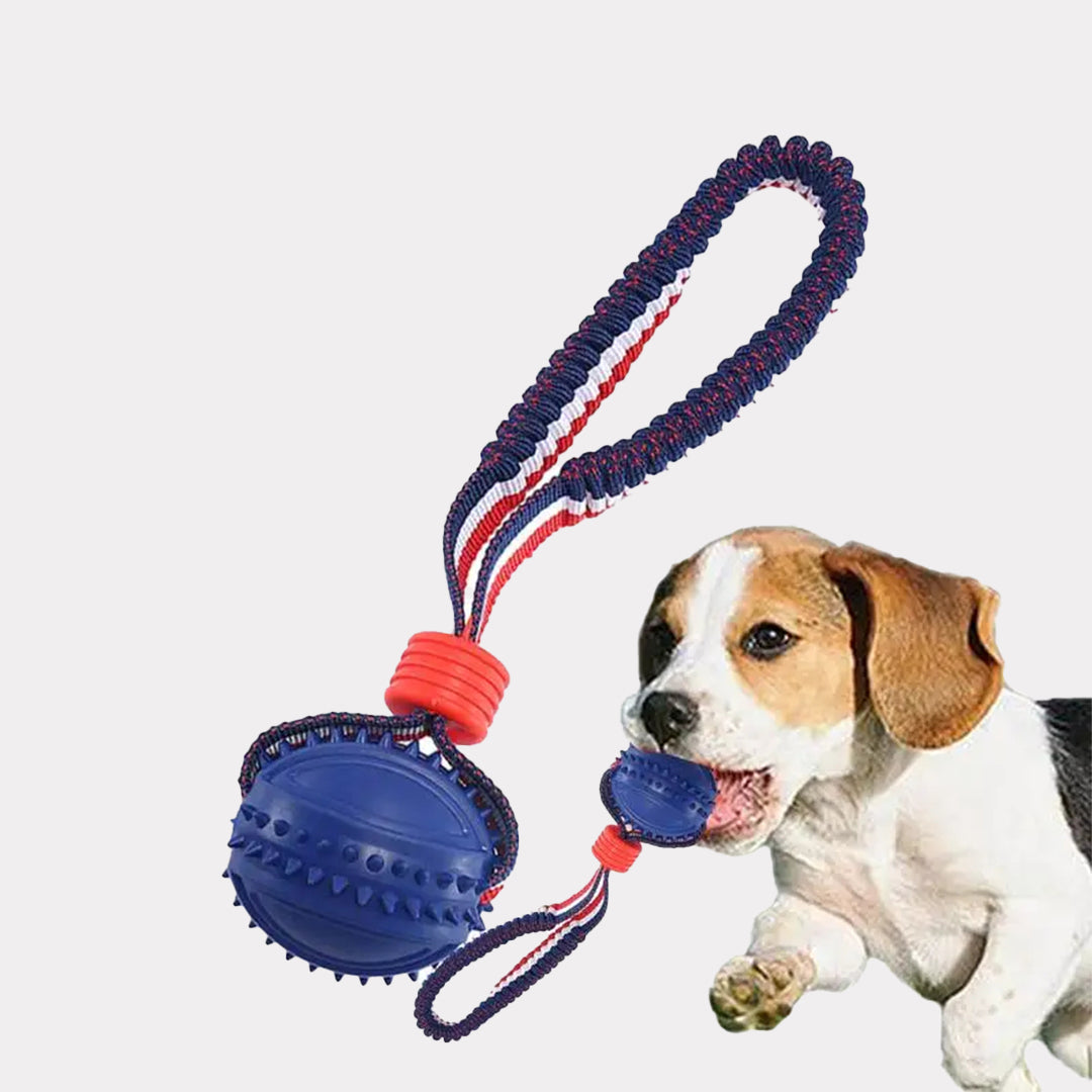 Interactive Dog Toy Ball Interactive Teether With Rope Dog